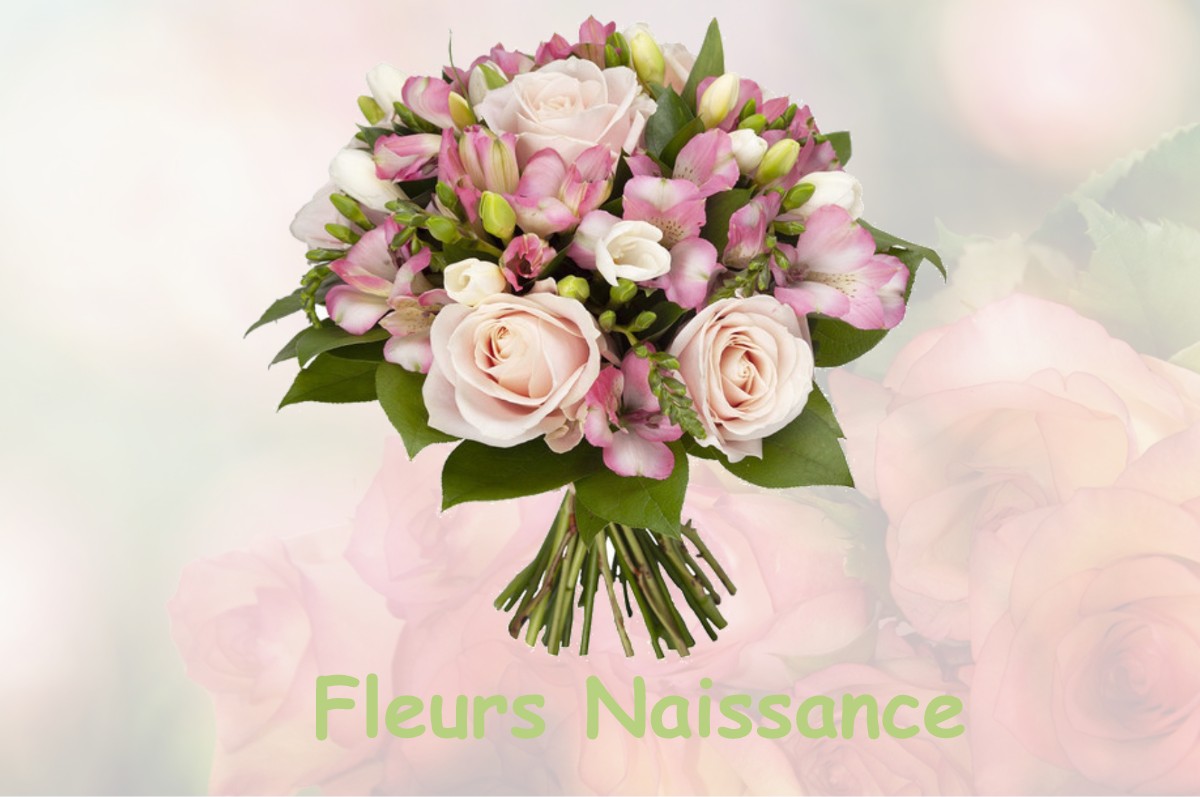 fleurs naissance LE-PLESSIS-ROBINSON