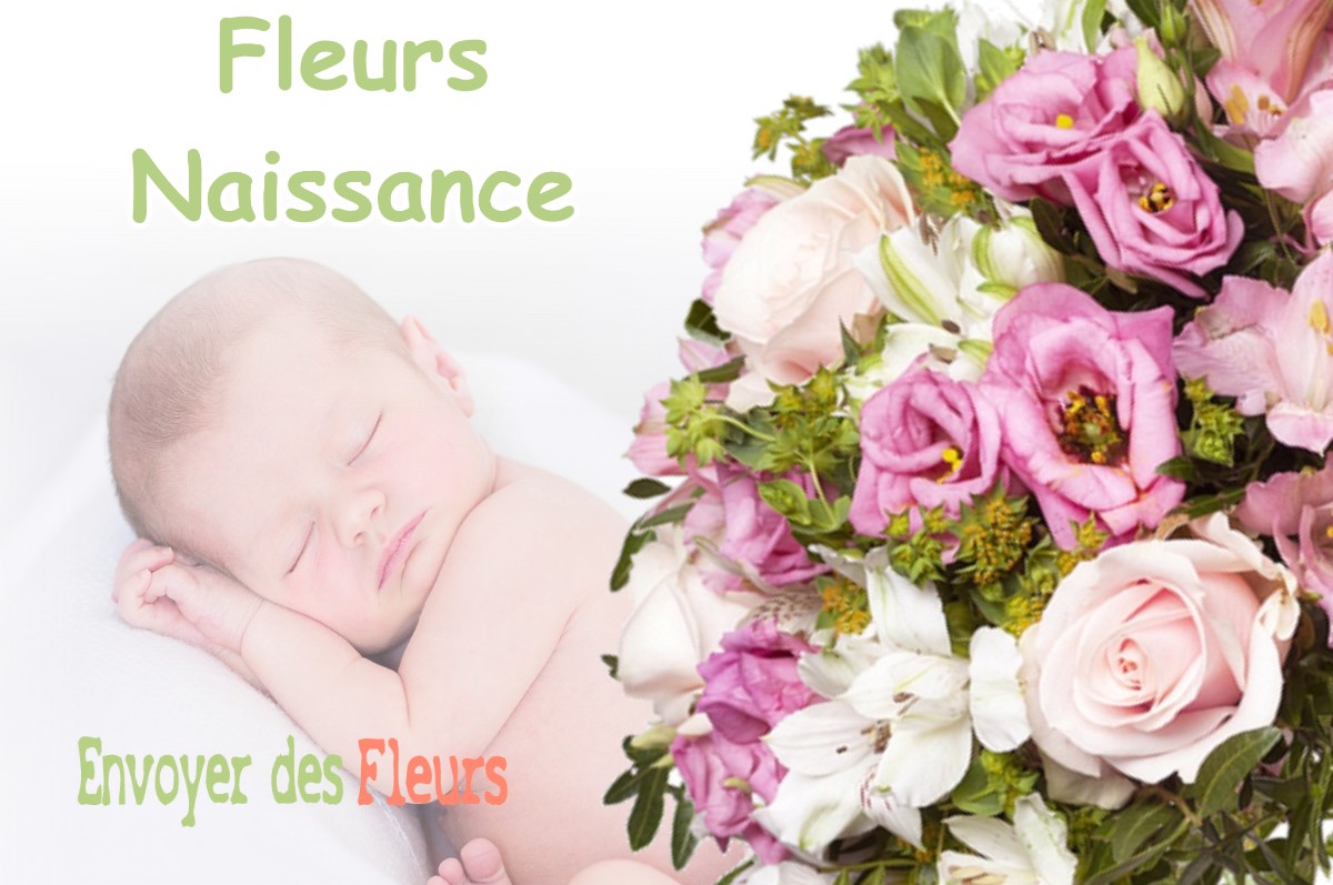 lIVRAISON FLEURS NAISSANCE à LE-PLESSIS-ROBINSON